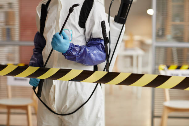 Professional Sewage Cleanup technician working in Lake Benton, MN